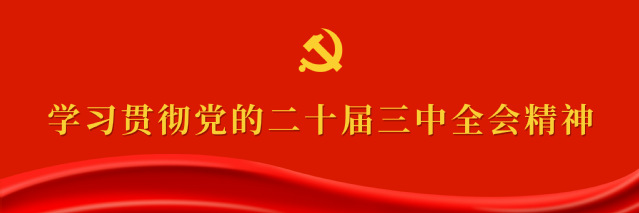 学习贯彻党的二十届三种全会精神